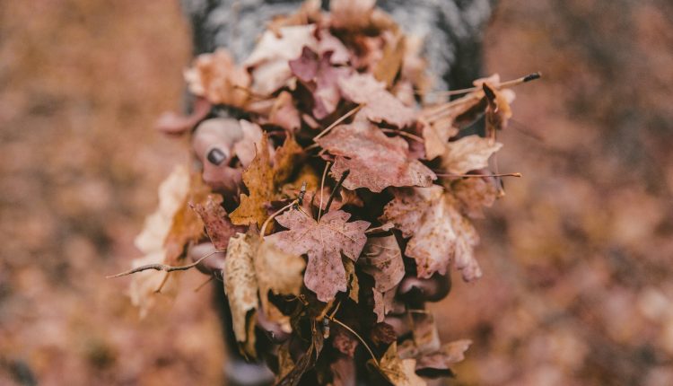 hipster blog thumb 6